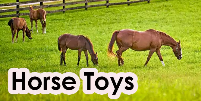 Best Horse Toys And Their Benefits